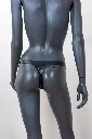 DSC01438.webp